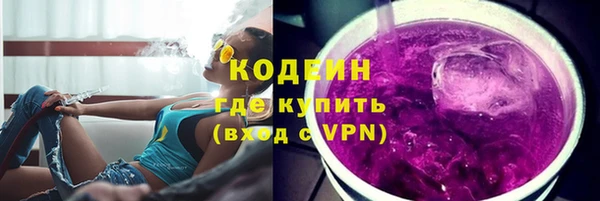 дживик Ладушкин