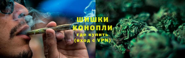 дживик Ладушкин