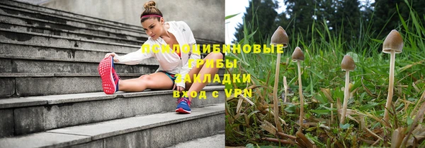 гидропоника Лабытнанги