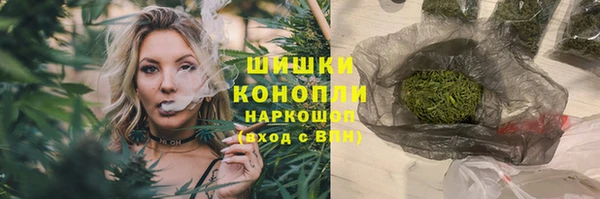 сатива Лагань